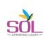 sol-1
